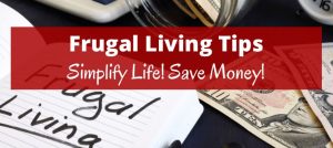 Read more about the article Frugal Living Tips for a Financially Healthy Life