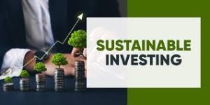 Read more about the article Sustainable Investing in 2024: A Complete Guide to Building a Green Portfolio That Actually Performs